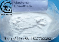 Onderneming Standaardprimobolan Methenolone enanthate 303-42-4 C27H42O3 CAS 303-42-4