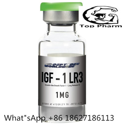 Igf-1 van de het Poederverhoging van LR3 CAS 170851-70 Gevriesdroogde van de de Spiermassa Magere Peptide van het de Groeihormoon Menselijke voor Bodybuilding
